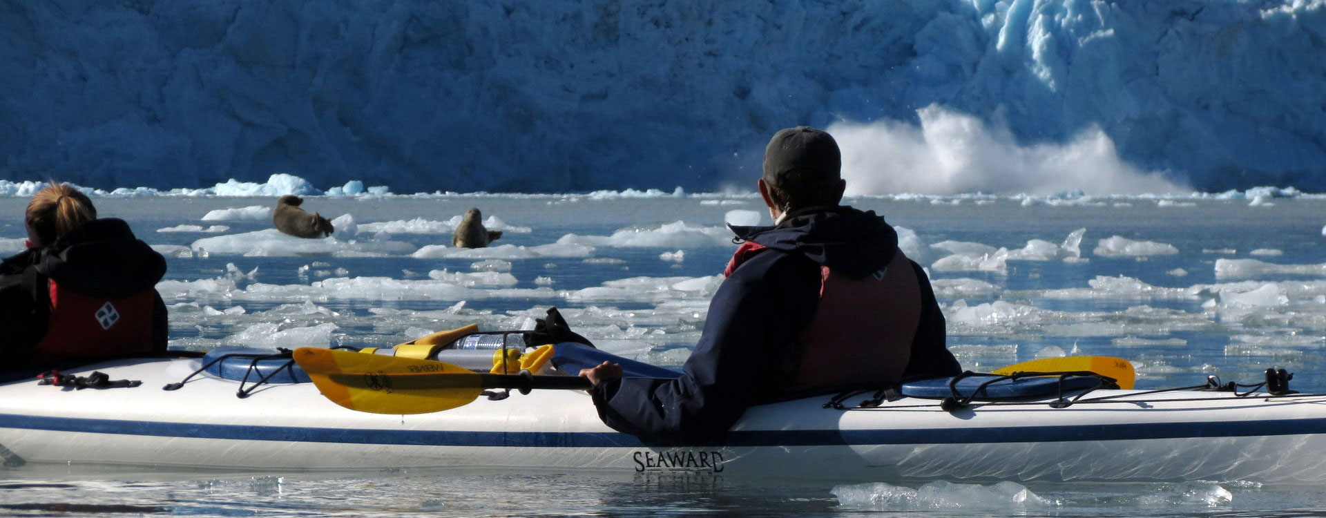 Alaska Sea Kayaking Picture